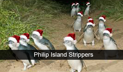 Philip-Island